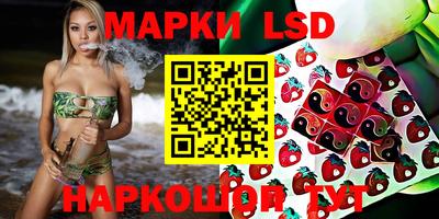 apvp Обнинск