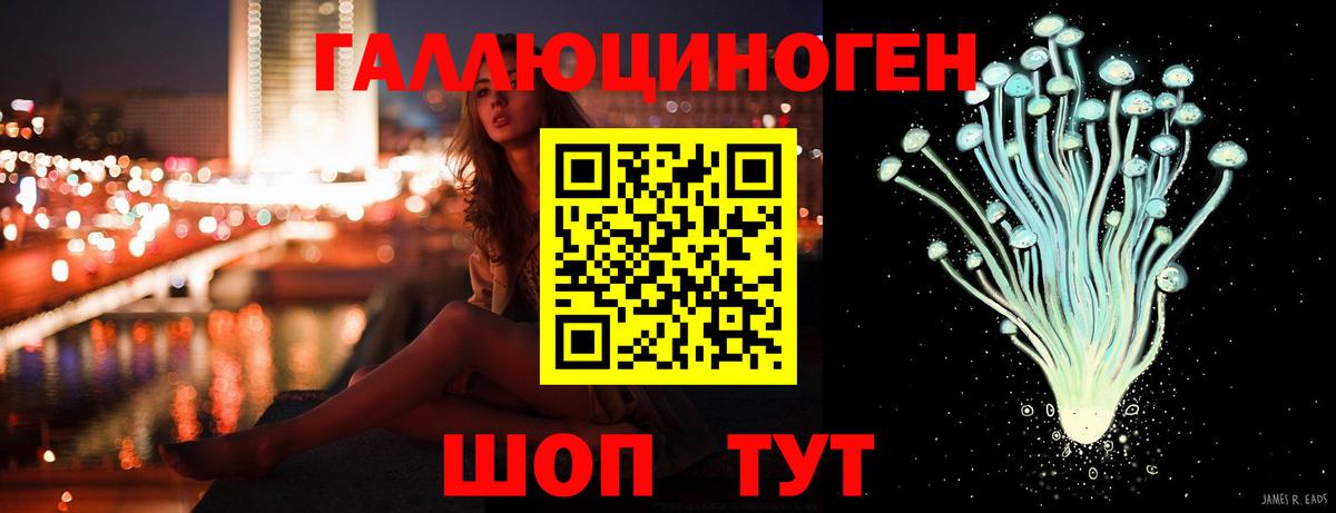 Туапсе  Псилоцибиновые грибы Psilocybe  Вход с VPN 