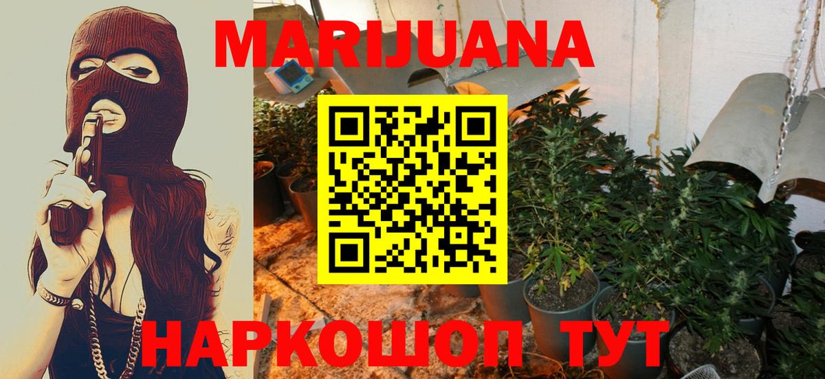 Канабис OG Kush Туапсе